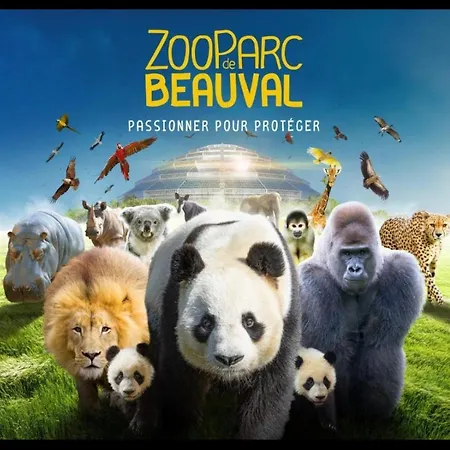 Gite Souai Et Zen , 5 Mn Du Zooparc De Beauval Saint-Aignan  Exterior foto