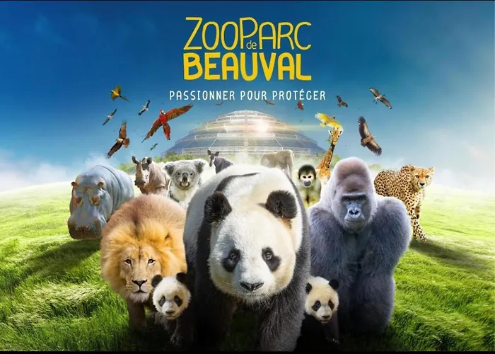 Gite Souai Et Zen , 5 Mn Du Zooparc De Beauval
