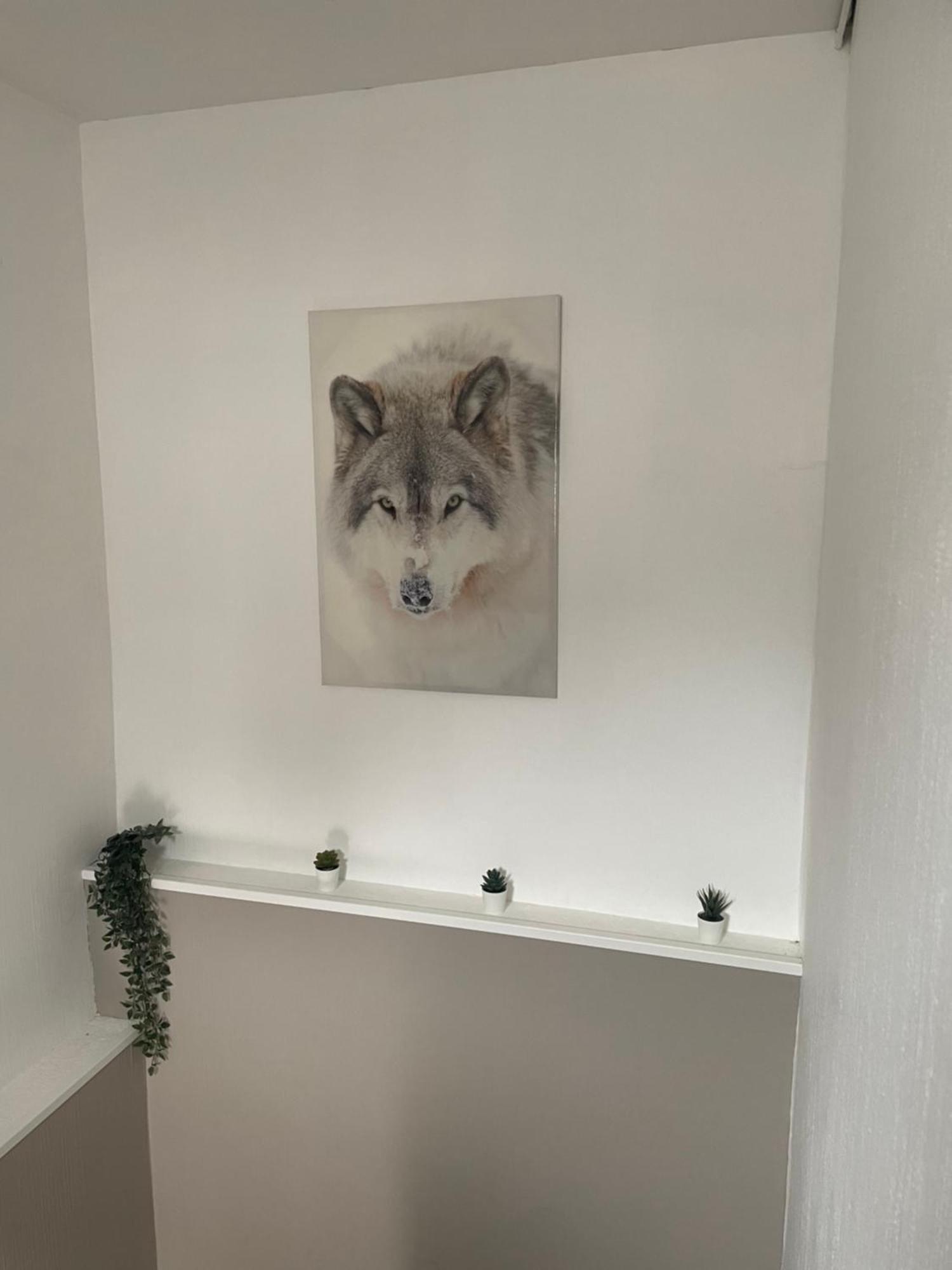 Apartment Souai Et Zen , 5 Mn Du Zooparc De Beauval *