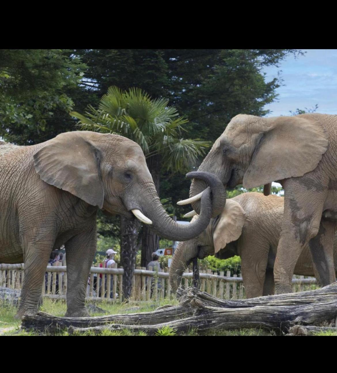 Souai Et Zen , 5 Mn Du Zooparc De Beauval Apartment Saint-Aignan (Loir-et-Cher)